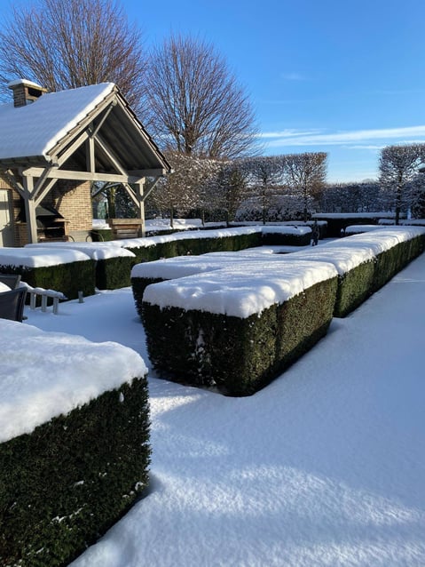 Garten im Schnee Garten im Schnee